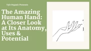 The Amazing Human Hand A Closer Look at Its Anatomy, Uses & Potential