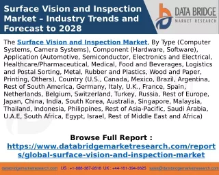 Surface Vision and Inspection Market