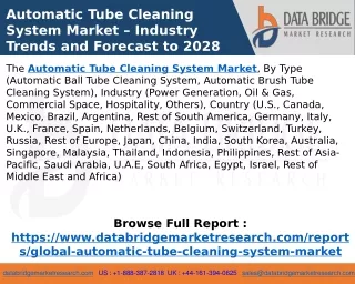 Automatic Tube Cleaning System Market