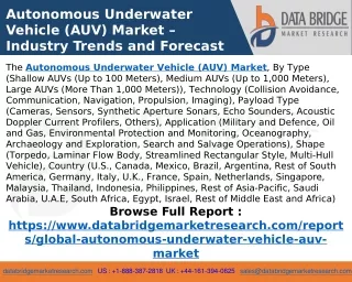 Autonomous Underwater Vehicle (AUV) Market