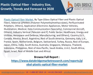 Plastic Optical Fiber Market