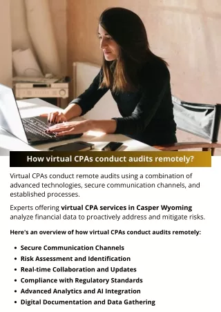 How virtual CPAs conduct audits remotely?