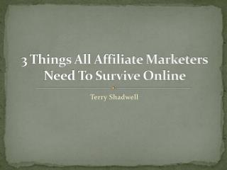 3 Things All Affiliate Marketers Need To Survive Online