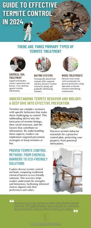 Guide to Effective  Termite Control  in 2024