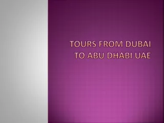 Tours from Dubai to Abu Dhabi UAE
