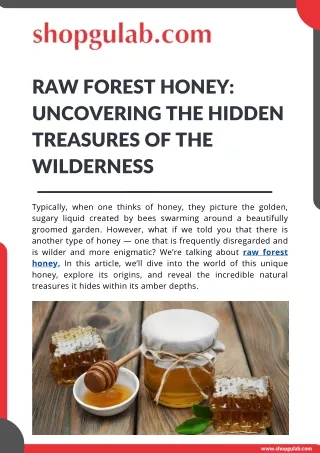 Raw Forest Honey Uncovering the Hidden Treasures of the Wilderness (1)