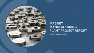 Magnet Manufacturing Plant Project Report PDF: Setup and Cost Analysis