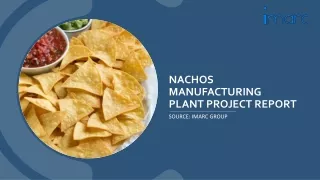 Nachos Manufacturing Plant Project Report PDF: Setup and Industry Trends