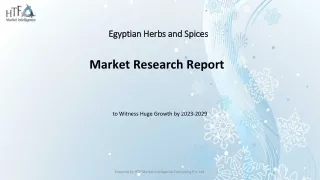 Global Egyptian Herbs and Spices Market Size & Growth Outlook 2023-2028