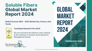 Soluble Fibers Market Size, Share, Trends, Industry Analysis And Growth 2033