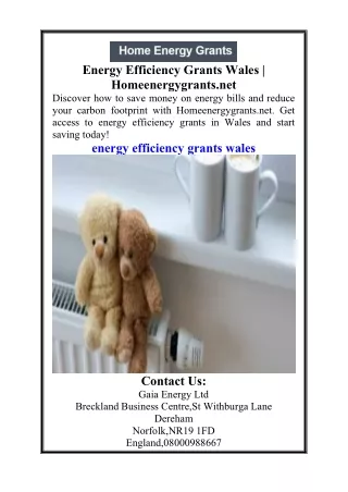 Energy Efficiency Grants Wales  Homeenergygrants.net