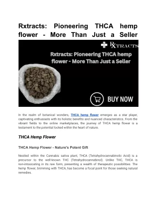 Rxtracts_ Pioneering THCA hemp flower - More Than Just a Seller