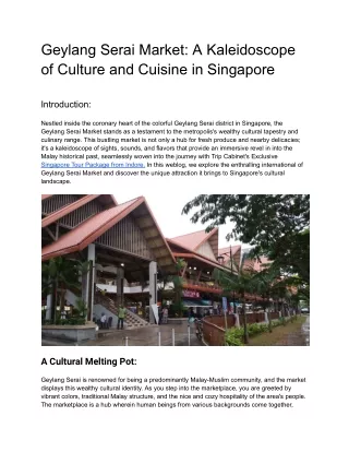 Geylang Serai Market_ A Kaleidoscope of Culture and Cuisine in Singapore