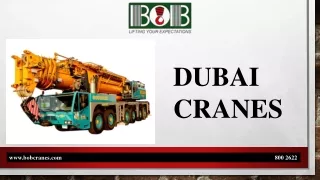 DUBAI CRANES (1)