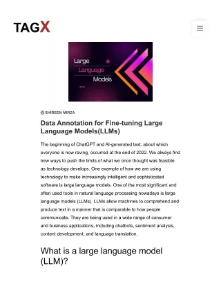 Data Annotation for Fine-tuning Large Language Models(LLMs)