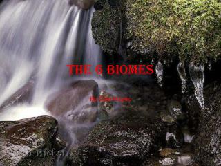 The 6 Biomes