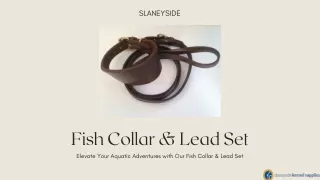 Fish Collar & Lead Set - Slaneyside Kennels