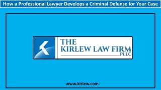 How a Professional Lawyer Develops a Criminal Defense for Your Case