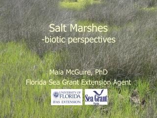 Salt Marshes -biotic perspectives