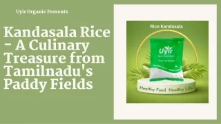 Kandasala Rice - A Culinary Treasure from Tamilnadu's Paddy Fields