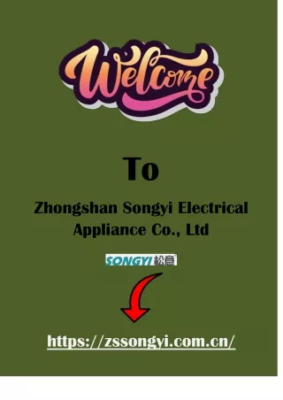 Discover the Best RV Gas Water Heater by Zhongshan Songyi - Efficient and Instantaneous