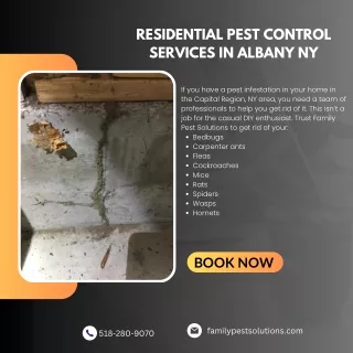 Residential Pest Control Services in Albany NY