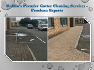 Dublin's Premier Gutter Cleaning Services - Proclean Experts