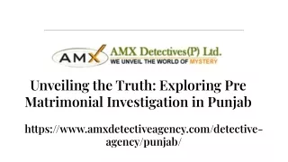 pre matrimonial investigation in punjab