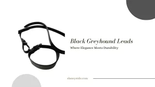 Black Greyhound Leads - Slaneyside Kennels