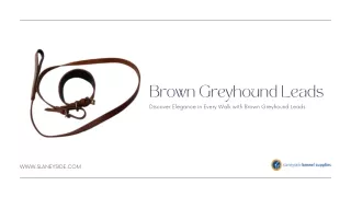 Brown Greyhound Leads - Slaneyside Kennels