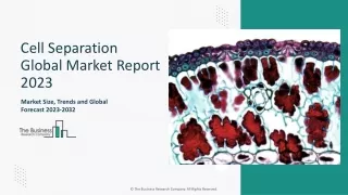 Cell Separation Market Report, Outlook, Research, Forecast To 2024-2033