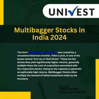 Multibagger Stocks in India 2024