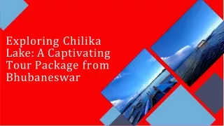 Discovering The Wonders Of Chilika Lake With Krishpyangel Holidays Packages