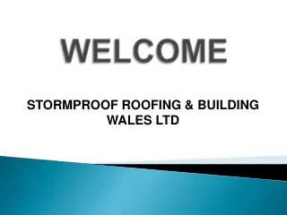 Best Flat roofing in Ystrad Mynach