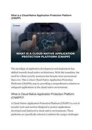 What is a Cloud-Native Application Protection Platform (CNAPP