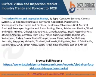 Surface Vision and Inspection Market