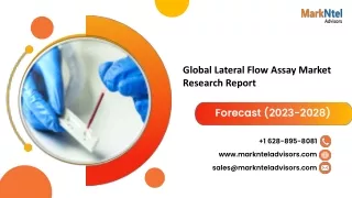 Global Lateral Flow Assay Market Research Report: Forecast (2023-2028)
