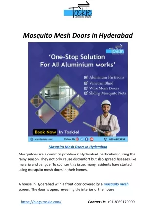Mosquito Mesh Doors in Hyderabad