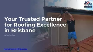 Roof Cleaning Brisbane-Brisco Roofing