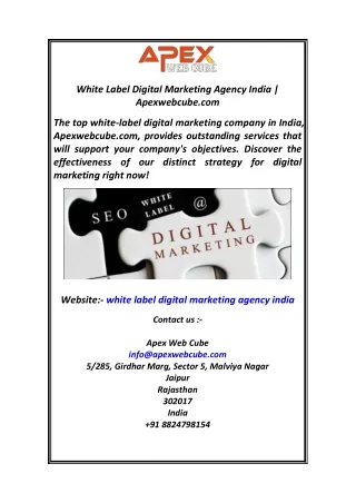 White Label Digital Marketing Agency India  Apexwebcube.com.22