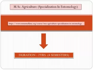 M.Sc. Agriculture (Specialization In Entomology)
