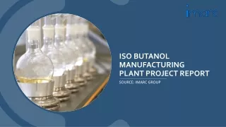 Iso Butanol Manufacturing Plant Report PDF | Industry Trends and Investments
