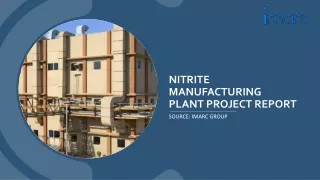 Nitrite Manufacturing Plant Project Report PDF 2024: Details Analysis on Setup