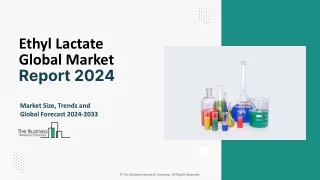 Ethyl Lactate Market Size, Share, Trends And Growth Report, 2024-2033