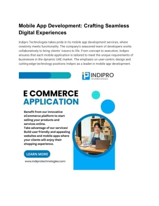 Indipro technology  ecommerce development company uae