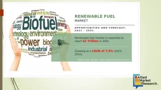 Renewable Fuel Market