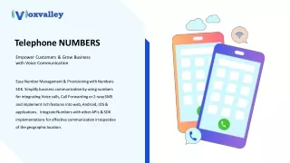 Voxvalley Numbers