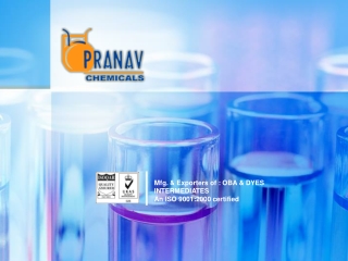 pranav chemicals