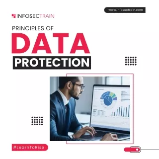 Principles of data privacy protection