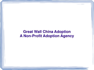 Great Wall China Adoption | Great Wall China Adoption Review